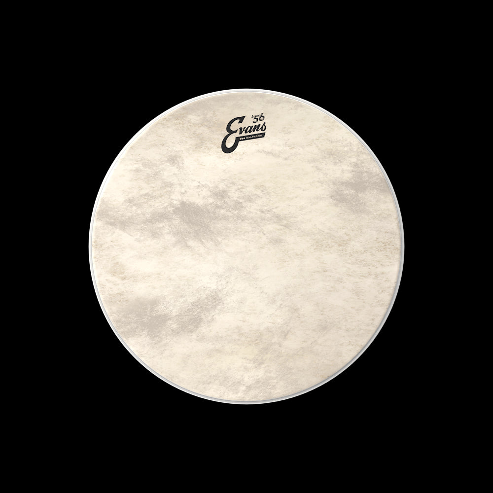 Peau Evans EQ4 Calftone (de 20" à 22")