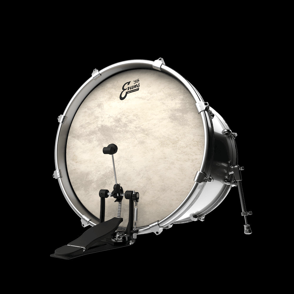 Peau Evans EQ4 Calftone (de 20" à 22")