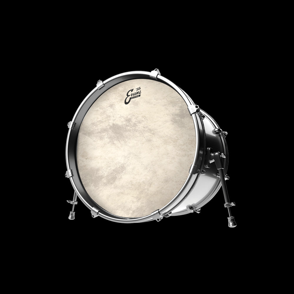 Peau Evans EQ4 Calftone (de 20" à 22")