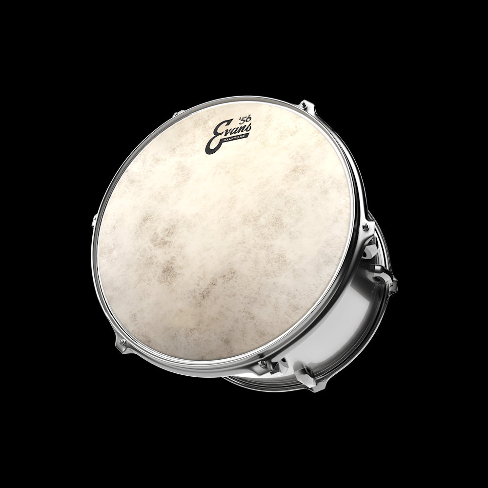 Peau Evans Calftone (de 10" à 16")
